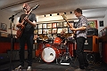 Bird in Shell  en concert